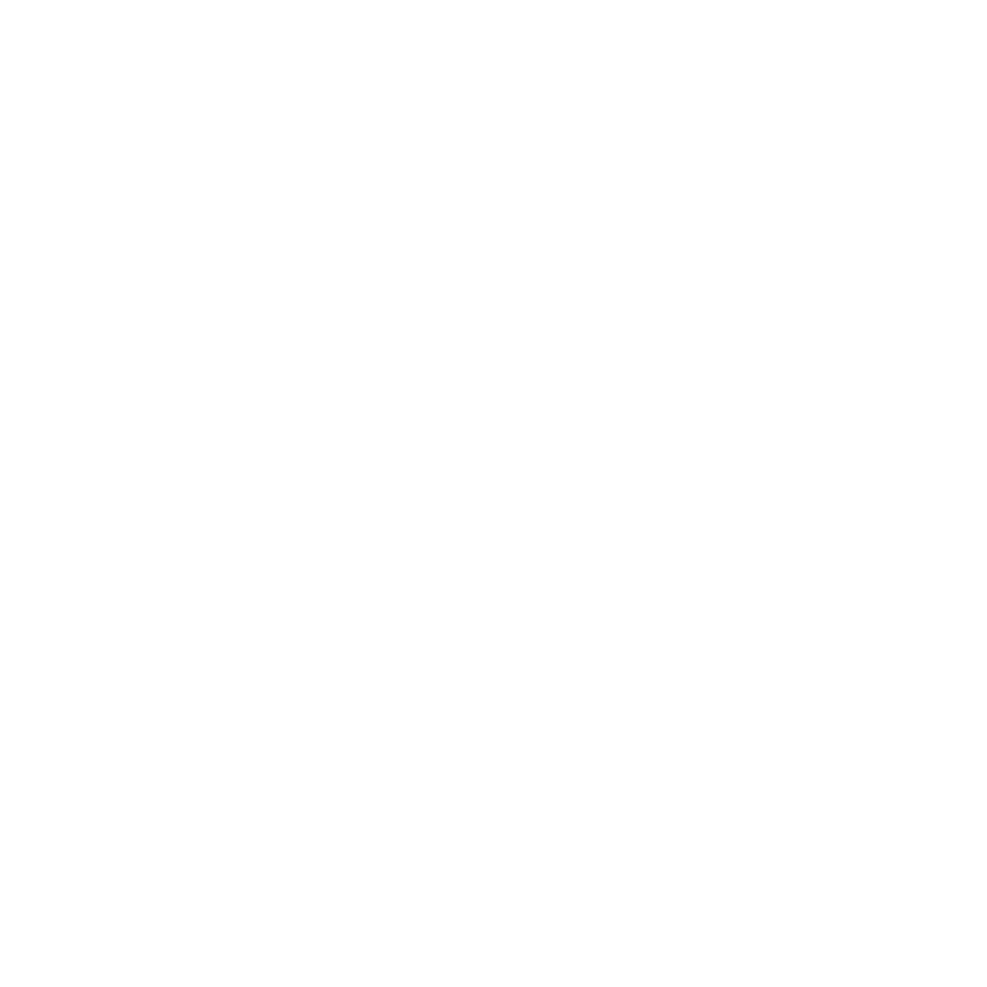 EU AI Act